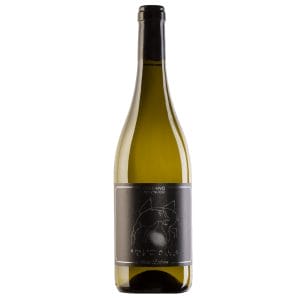 stefano antovucci santa barbara animale celeste-enoteca san lorenzo riccione