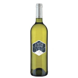 cave-mont-blanc_Blanc-de-Morgex-et-de-La-Salle