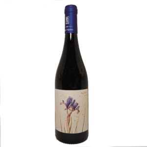 marta valpiani crete azzurre sangiovese-enoteca san lorenzo riccione