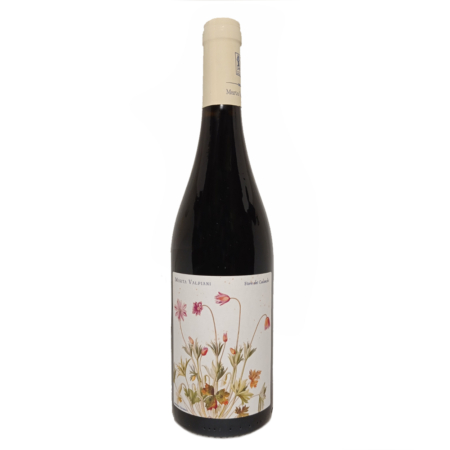 marta valpian fiore dei calanchi-enoteca san lorenzo riccione