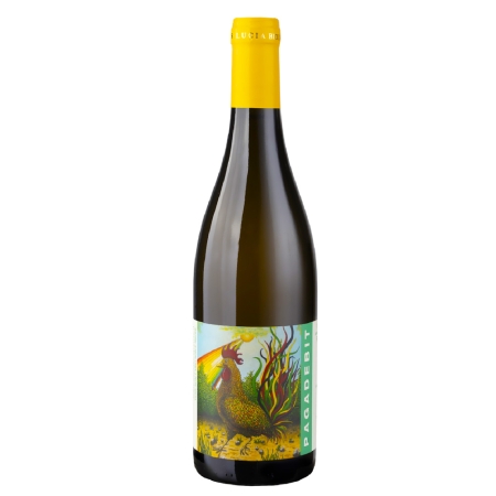 tenuta santa lucia pagadebit-enoteca san lorenzo riccione