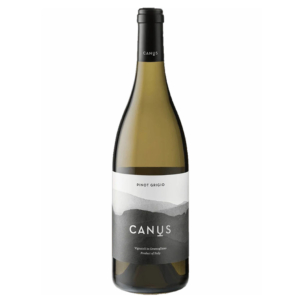 canus pinot grigio-enoteca san lorenzo riccione