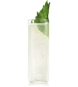 Gin giapponese Roku Gin Fizz Cocktail