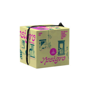 Fiasconaro Panettone al Mango e Cioccolato al Passion Fruit in Scatola 750g
